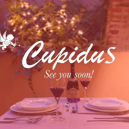 “Cupidus” Luxury Suite - Private Patio And Kitchen Apartment